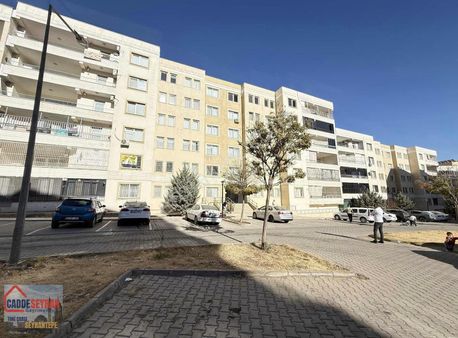 Cadde Seyrandan Kiralık Sarı Tokilerden