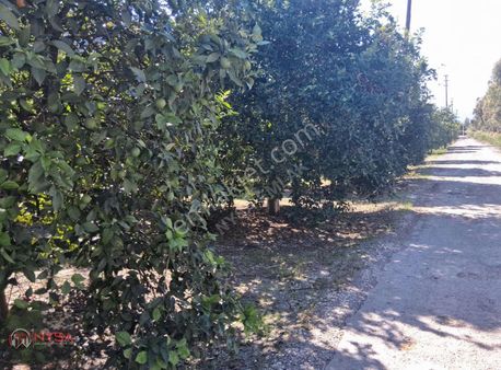 Nysa Emlak'tan 250 M2 İnşaat İzinli 2.600 M2 Arsa