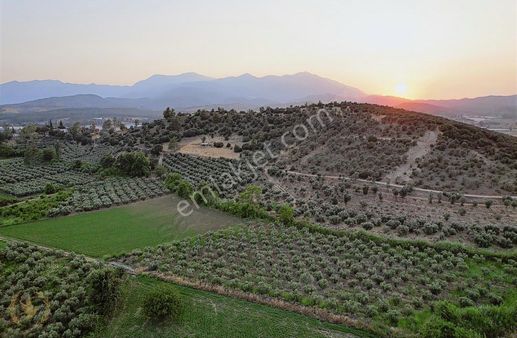 Barış Emlak Seydikemer Güneşlide Müstakil 558m2 Satılık Parsel