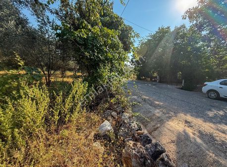 Anayol Üzeri ,700m2, Köy-içi 250m2 İmarlı *ağaçlar Bezeli Arsa