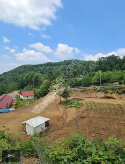 Başiskele Yuvacık Aytepe Caddeye Cepheli Satılık Tarla