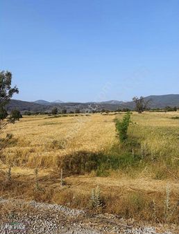 Ana Yola Sıfır 5109 M2 Sebeke Suyu Olan Ev Yapılabilecek Tarla