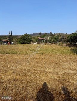 Kadastral Yolu Olan Toplam 3 Parsel 8062 M2 Tarla