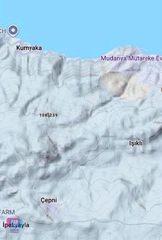 Dialog Doğuş Satılık Zeytinlik Kumyaka Da