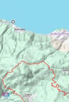 Dialog Doğuş Çepni De Satılık Arsa Deniz Gören