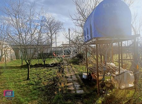 Dialog Doğuş Yaylacık Fabrika Bölgesi Yapı Kayıt Belgeli Tarla