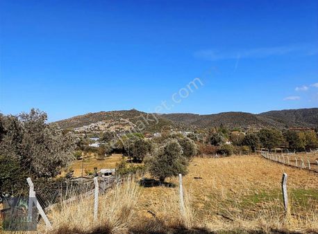 Çamlı Gayrimenkul Den Satılık Tarla