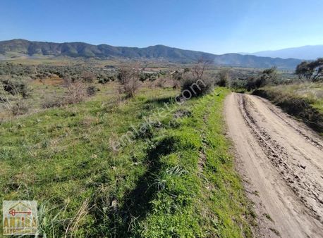 Antika Gayrimenkulden Çaylı Mahallesinde 2737 M2 Satılık Tarla