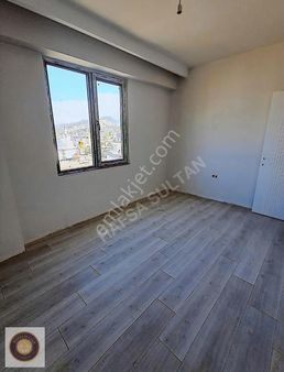 Hafsa Sultan Dan Birzan Rose Projesi