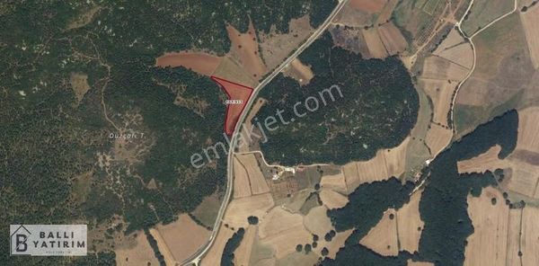 Ballı Yatırım'dan Unçukurda Asfalt Yola Cephe Tek Tapu Tarla