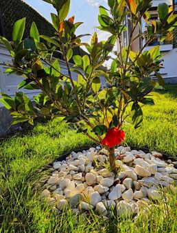 Kartepe Kent Meydanı Lüx Site İçi 2+1 Daire Yüksek Kredi İmkanı