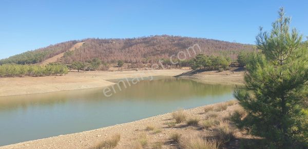 🏡 Mersin Silifke Işıklı Mahallesi’nde Gölet Manzaralı 2.564 M² Arsa!