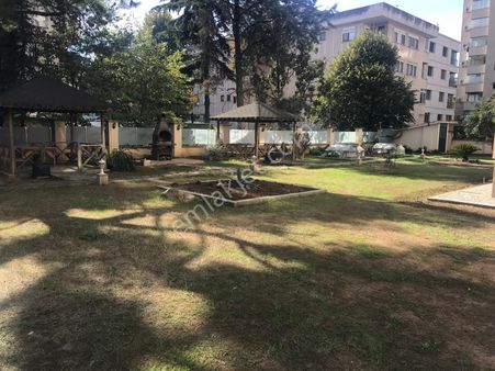 Lunas Emlak Tan Yüzme Havuzlu Divan In Arkası