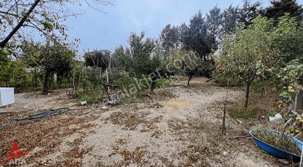 Ballıca Merkezinde 96 M² Prefabrikli, Doğalgazlı Bahçeli Arsa