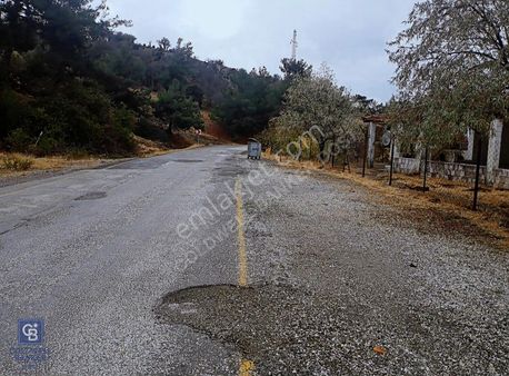 Kavacıkta Asfalt Üzerinde 15.186 M2 Tek Tapulu Bağ-bahçe
