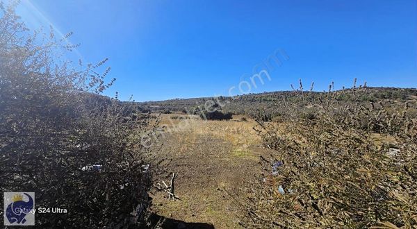 Ayvacık Gülpınar Da Yatırımlık Tarla