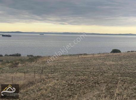 Birikim Gayrimenkulden Bu Fırsatı Kaçıran Pişman Olur! 1100mt