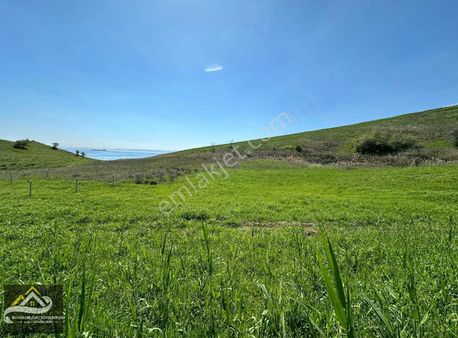 Kocaali 'de Deniz Manzaralı Müstakil Tapulu 250m2hobi Bahçesi