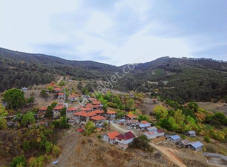 Göynük Bekirfakılar Köyünde Köyiçi 885 M2 Uygun Fiyatlı Bahçe