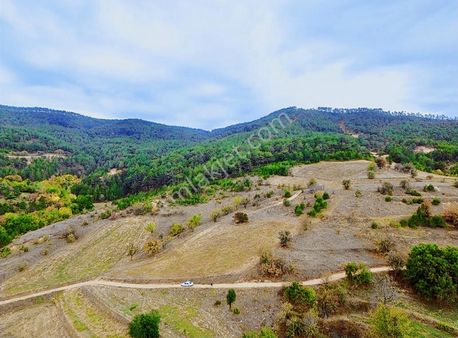 Göynük Bekirfakılar Köyünde 2880 M2 Köy Manzaralı Satılık Arazi