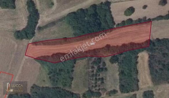 Tekirdağ Muratlı Yukarısevindikli'de Bağlar Mevki 4.564 M2 Tarla