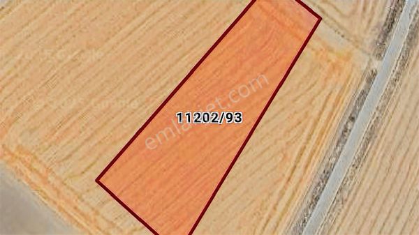 Yukarı Söğütönü Mahallesinde 4.516 M2 Satılık Fırsat Tarla