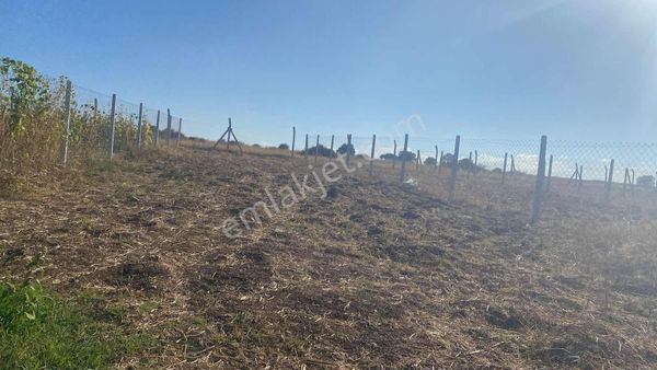 Mollaoğlu'nda Satılık Hobi Bahçesi