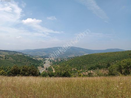Balıkesir De Orman İçinde Satılık Tarla