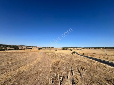 Avdanda Köy İçi Yol Üzeri Orman Manzaralı Satılık 10 Dönüm Tarla