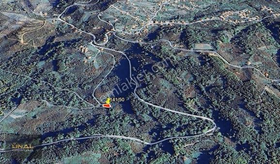 Terzi Mahallesinde Yatırımlık Tarla Yol'a Cephe