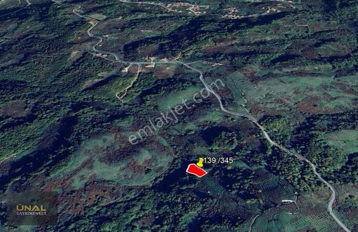 Doğayla İç İçe Fırsat Arsa