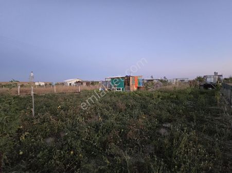Krunıtyden Seyitgazi Değişören Mahallesinde Satılık Hobi Bahçesi