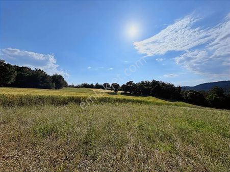 Çınarlıdere'de Satılık İki Adet Tarla