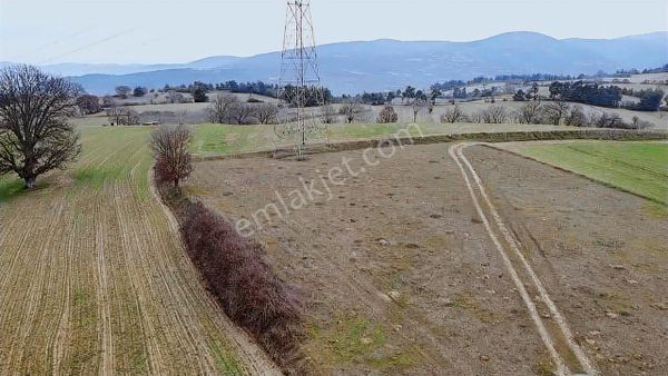Altıeylül Konakpınar Mahallesinde Satılık 2 Adet Tarla