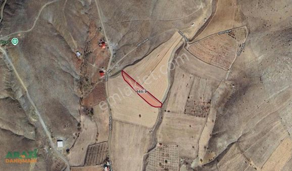 Ekinözü Öztürk Mahallesinde 4 Dönüm İlçeye Yakın Tarla