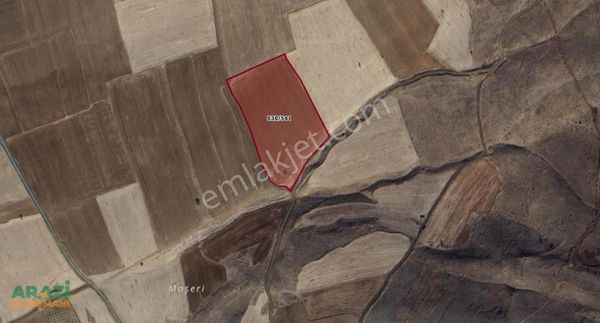 Ekinözü Türkeli Mahallesinde 25 Dönüm İlçeye Mahalleye Yakın