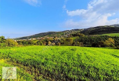 Truva'dan Atakum Kurugökçe'de Deniz Manzaralı Satılık Tarla