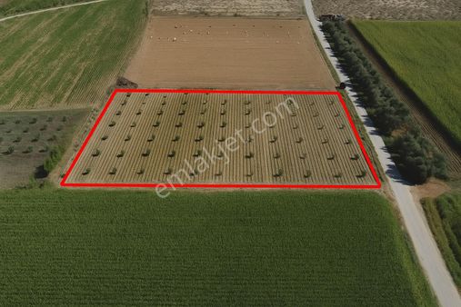 A Plus Gayrimenkulden Kahrat Köyünde 3645 M2 Yola Cepheli Tarla​