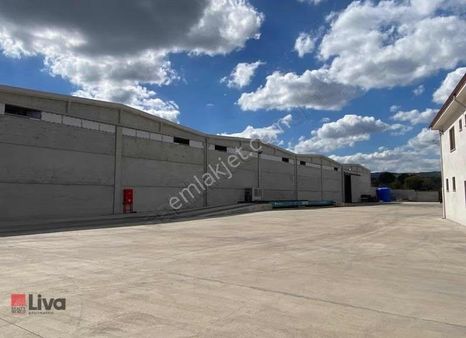 Liva Dan Kiralık Depo Ve Yönetim Binası