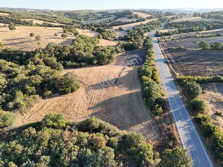 Asfalta 220 Metre Cepheli, % 5 İmarlı, 11.455 M2 Satılık Tarla