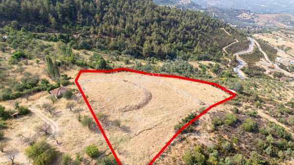 Karacasu Alemler Mahallesinde Satılık Yatırımlık Arazi