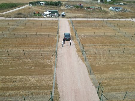 Bandırma Kayacık Mah. İmar Planında Satılık 7 Adet Hobi Bahçesi