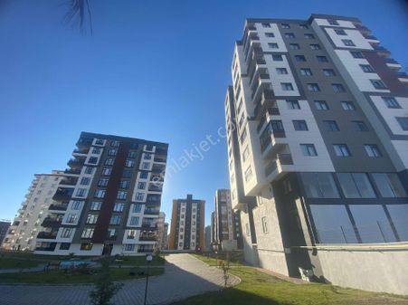 Barandan Karaagacta Satilik Arakat