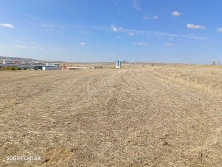 Söğüt Emlak'tan İscehisar'da Satılık Tarla