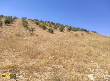 Bilek Güneş Paneli Karşısı Tek Tapu Çok Amaçlı Fırsat Arazi