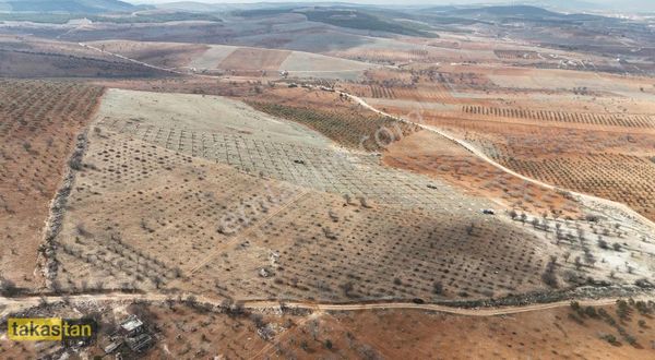 Suboğazı Sınırı Şehre 10 Dk Manzaralı Konum Uygun Fiyatlı Fırsat