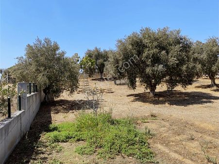Kuşadası Yenıköy Mahallesinde Fırsat Çiflik Evi