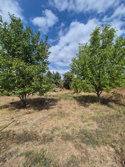 İnegöl Çitlide Uygun Fiyat Bahçe