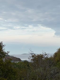 Balıkesir Bandırma Sabil Yenice Mahllesi