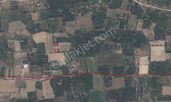 Aydın/kuyucak/beşeylül (sinekler Köyü)de Satılık Tarla